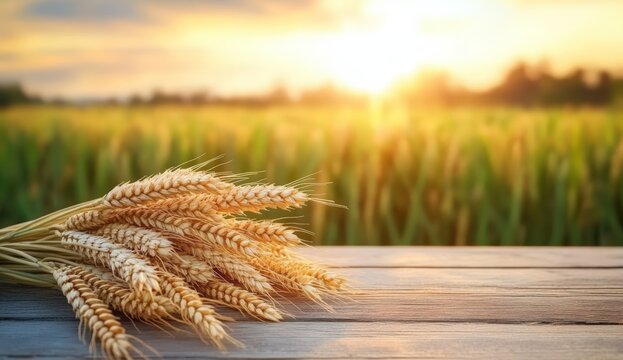 A golden bundle of wheat stands on a wooden surface, with a vibrant sunlit field in the background, depicting agricultural abundance and natural beauty.