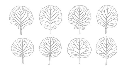 Obraz premium Hand drawn kale leaves isolated on white background, vector illustration