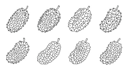 Hand drawn mulberry fruit isolated on white background