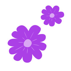 Purple flower isolated on white background