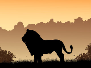 Lion Silhouette, Sunset, Wildlife, Savanna, Africa, Animal