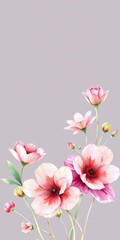 Fototapeta premium Delicate watercolor flowers, soft and ethereal, ideal for wedding stationery, artistic, illustration