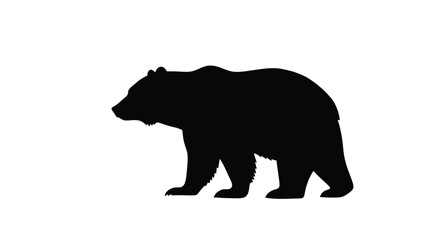 Abstract geometric composition with bold lines and contrasting colors in a striking silhouette