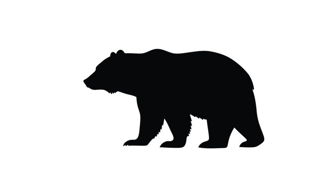 Abstract geometric composition with bold lines and contrasting colors in a striking silhouette