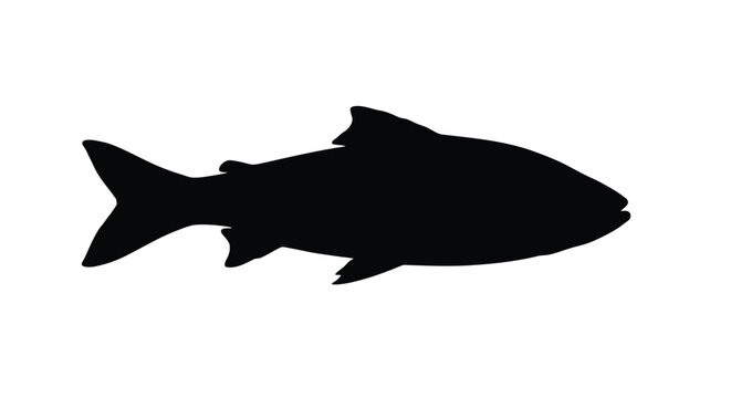 Abstract geometric silhouette design with vibrant color accents and helvetica courier typography