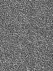 Seamless Black and White Cracked Leather Vein Texture Pattern