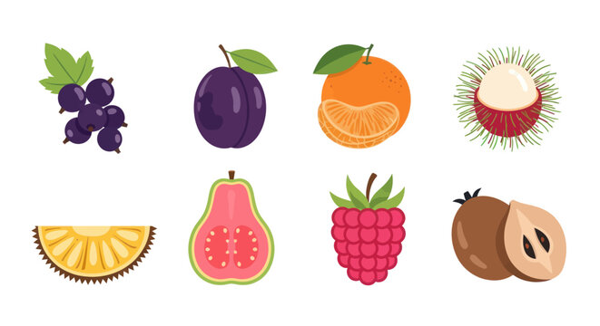 Assortment of colorful fruits vector illustration on white background