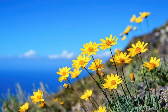 A vibrant landscape of wildflowers blooming on a rocky cliff overlooking the ocean, with a clear blue sky and distant mountains in the background. - Powered by Adobe