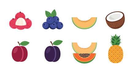 Fototapeta premium Assortment of fresh fruits lychee blueberry melon coconut plum papaya pineapple