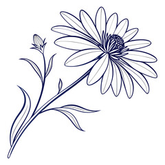 Blue Line Art Daisy Flower with Bud and Stem on White Background floral bloom