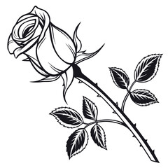 Single Rose with Thorns and Leaves Black and White Line Art flower drawing