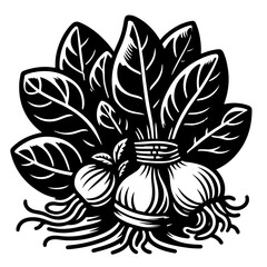Illustration of a bunch of leafy vegetables with roots tied together in black and white design style