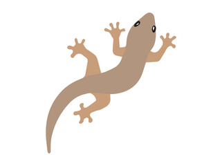 Cute Gecko Lizard Cartoon Illustration
