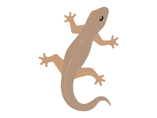 House Lizard Cartoon Clip Art
