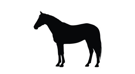 Abstract geometric shape silhouette with dynamic color gradients and clean lines