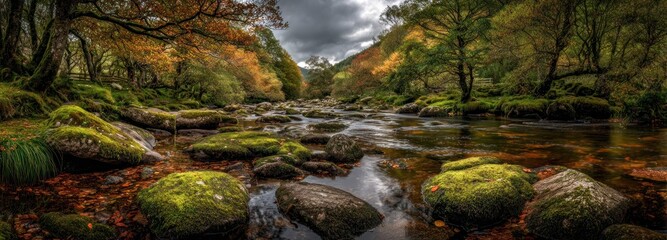 Autumnal forest river scene