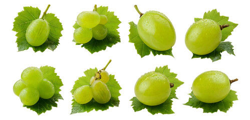 Fresh Green Grapes and Leaves Arrangement on White Background, Isolated on Transparent, white background