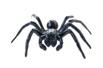 A black spider isolated on transparent background, revealing its eight legs, multiple eyes, and intricate patterns, highlighting its predatory nature and unique adaptations