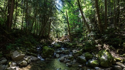 Obraz premium confluence. Two forest streams merging into a single river, blending water currents, mossy rocks, dappled sunlight through trees. ESG reports.