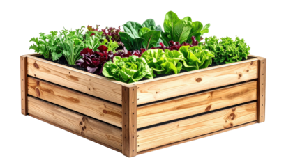 Raised garden bed with varied leafy green plants