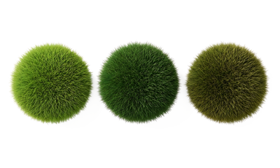 Isolated grass spheres displaying a natural color gradient from vibrant green to earthy brown, perfect for organic designs with a transparent background