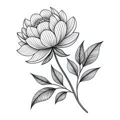 black and white flower