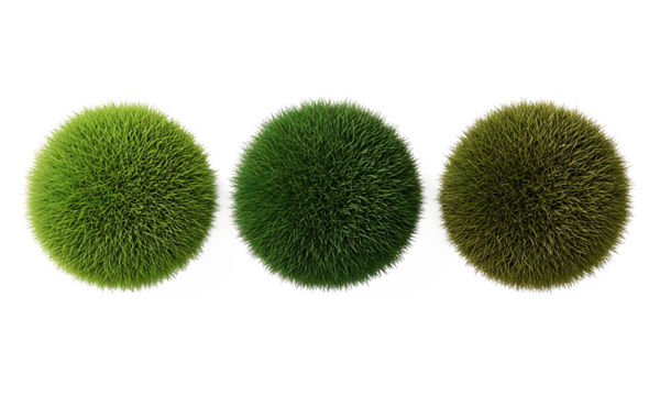 Isolated grass spheres displaying a natural color gradient from vibrant green to earthy brown, perfect for organic designs with a transparent background