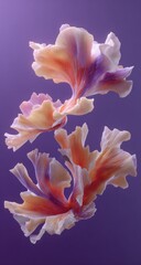 Three abstract, biomorphic forms, reminiscent of stylized coral or flowers, float against a deep purple backdrop.  Soft, pastel peach and lavender hues create a dreamlike, ethereal quality