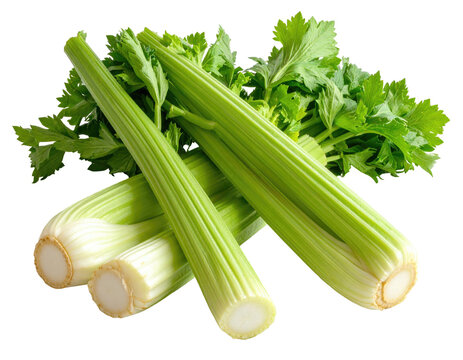 Fresh celery stalks with leafy tops, vibrant green