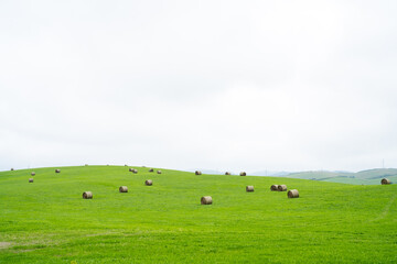 Fototapeta premium Summer farmland in Hokkaido featuring countless hay bales arranged across a vast green pasture under a cloudy sky, showcasing a wide rural landscape ideal for nature, travel, and agriculture themes