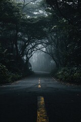 Misty forest road disappearing into a foggy, arched canopy of dark green trees. A faded yellow center line marks the asphalt