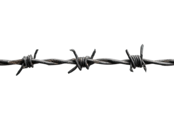 Barbed wire strand against black. Sharp. Raw. Dangerous