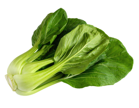 Two fresh bok choy bunches, vibrant green leaves
