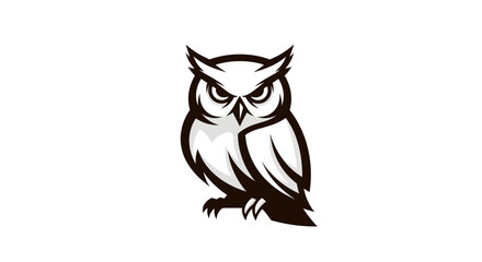 Stylized owl illustration against white background for graphic design