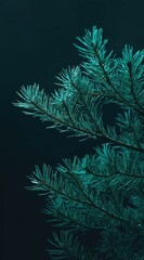 Teal-toned evergreen branch against a deep-blue background, sharply focused, showcasing intricate needle detail and a slightly moody, atmospheric feel