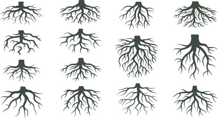 Collection of natural tree root silhouettes featuring branching underground structures, organic root patterns for botanical illustration,