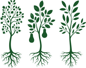 Fruit tree silhouettes with detailed roots featuring berry branches, pear fruits and leafy botanical designs for natural illustration