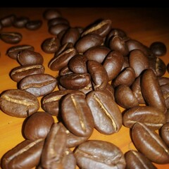 coffee beans background
