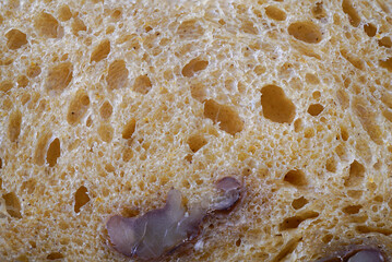 Textured surface with a mix of earthy hues and irregular patterns, resembling natural stone or abstract art.