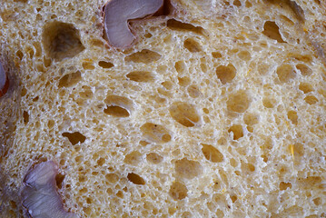 Close-up of textured natural material with intricate patterns and varying colors, resembling organic structures or minerals.