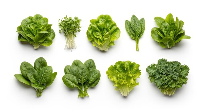 Diverse assortment of fresh green leafy vegetables for healthy lifestyle