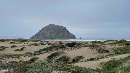 Volcanic Sea Stack Rising Above Coastal Dunes