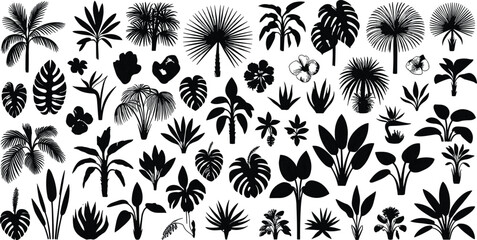Black and white detailed illustration collection of tropical plants, palm trees, and exotic leaves for botanical design and vintage artwork
