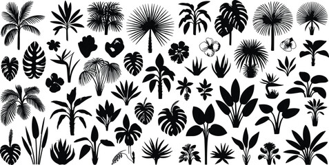 Black and white detailed illustration collection of tropical plants, palm trees, and exotic leaves for botanical design and vintage artwork