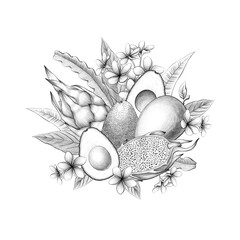 Composition of exotic tropic plants Mango Avocado Dragon fruit Jungle flowers leaves Pencil drawn