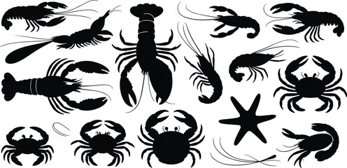 Black and white detailed illustration of sea creatures with crab lobster shrimp starfish shell marine seafood drawing collection underwater design