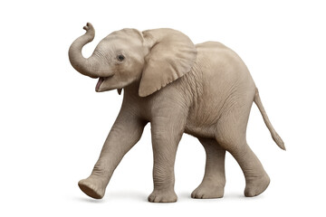 Obraz premium Baby elephant walking on transparent background, raising trunk, young animal, isolated, cutout