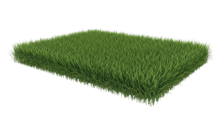 Realistic grass patch with transparent background cutout png