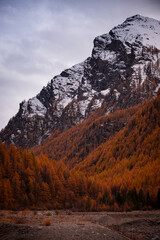 The beauty autumn in Alpine Valley, Piedmont, Italy