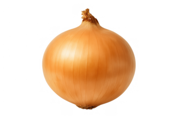 Fresh whole yellow onion with dry skin, a raw cooking ingredient ready for preparing food with a transparent background